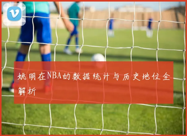 姚明在NBA的数据统计与历史地位全解析